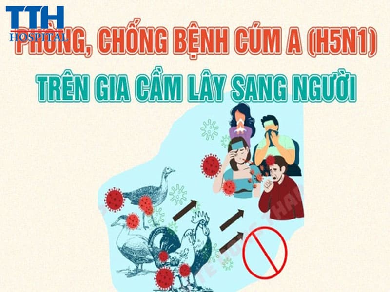 Biểu hiện của bệnh Cúm A/H5N1