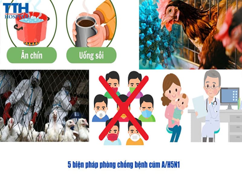 Cách phòng tránh bệnh Cúm A/H5N1