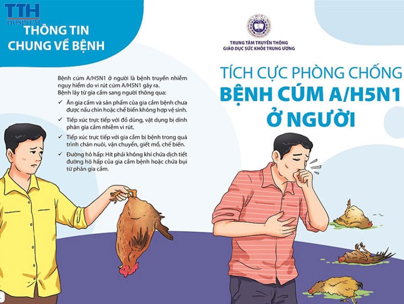 Khi tiếp xúc với gia cầm hoặc người bệnh